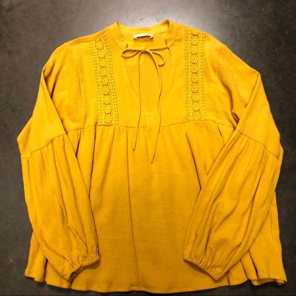 Altard state top